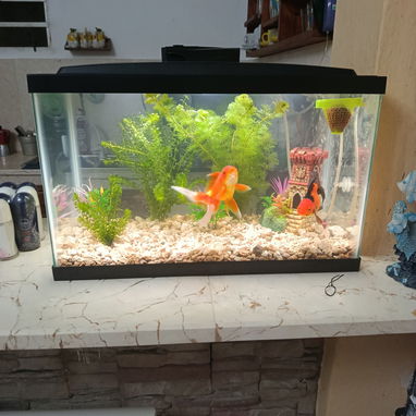 Excelente pecera nueva en su caja - 2/2