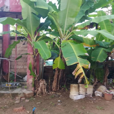 SE VENDE CASA INDEPENDIENTE EN EL CANO- LA LISA - Img 122573872