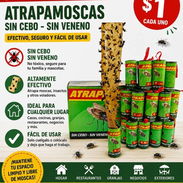 Trampas para Moscas - Img 55946847
