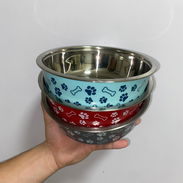Comederos para perros - Img 55328315
