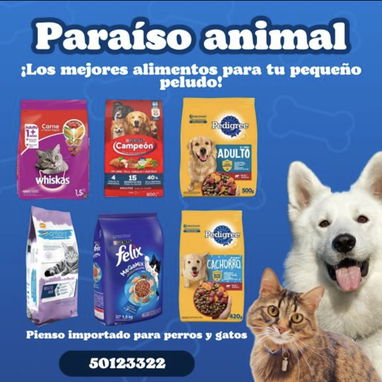 PIENSO PARA GATOS Y PERROS, comidas humedas y mucho mas en Paraiso Animal! De importacion , de calidad , 90%de proteina - Img 67913356