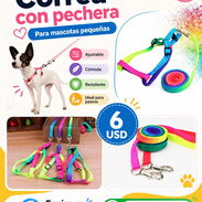 Correa con pechera para perros medianos y pequeños - Img 57254195