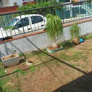 Casa Nuevo Vedado con patio jardin garaje 120mil 53582376 - Img 54924027
