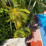 Renta lineal de casa con piscina - Img 45716585