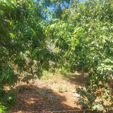 Espectacular mansión a la venta con piscina en excelente zona de Playa. Oportunidad de inversión garantizada!!! - Img 122085038