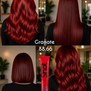 🎨 Shot 88.66 – Rojo Granate - Img 57708785