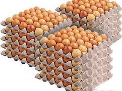 Cartón de huevo por cantidad - Img main-image-45714809