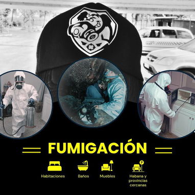 FUMIGADOR -EXTERMINADOR FUMIGACIÓN DE Cucaracha Chinche Garrapata Pulga Ratones Ratas Hormigas Moscas Mosquitos - Img 94231024