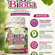 Gingo Biloba $3500 MN - Img 56183019