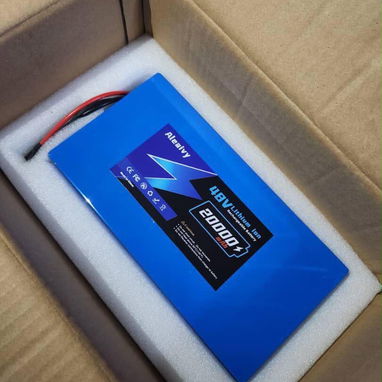 Batería marca aleaivy 48 vol 20 Ah - 5/5