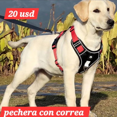 52957459 Pechera con correa perros grandes...20usd Collar de entrenamiento 7usd CADENA DE ACERO-----9 usd bozal---12 usd - 5/7