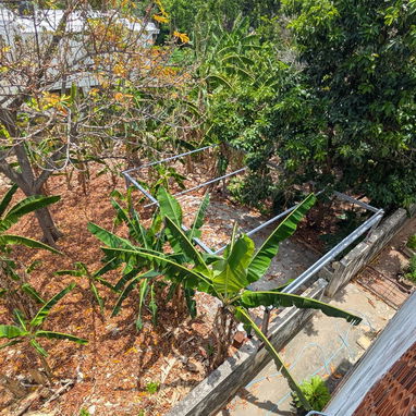 Casona Triplanta en NV 990 M2 , Rebajada .Terreno grande, potencial para inversores . - Img 121707143