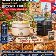 Olla para ecoflox - Img 58126666