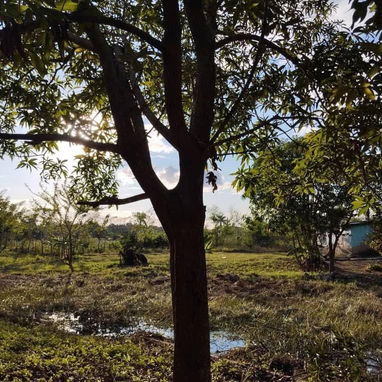 FOR SALE | 2-HECTARE FREEHOLD PROPERTY | HAVANA, CUBA - Img 125694194