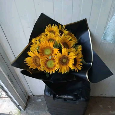 Flores - 10/10