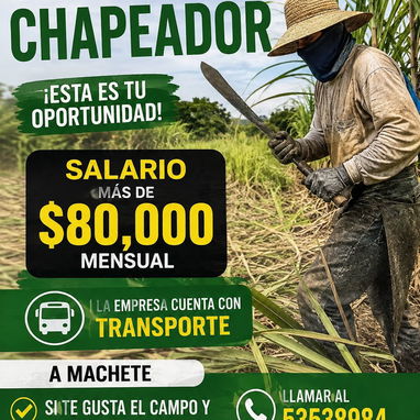 Gestión Z Agencia de Empleo - 2/10