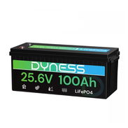 Batería Dyness_2560Wh_LiFePO4_24V_100Ah_2.56kWh_nuevo en caja_con garantía - Img 57947279