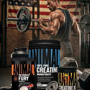 SUPLEMENTOS SPARTAN FITNESS 58890782 - Img 58094351