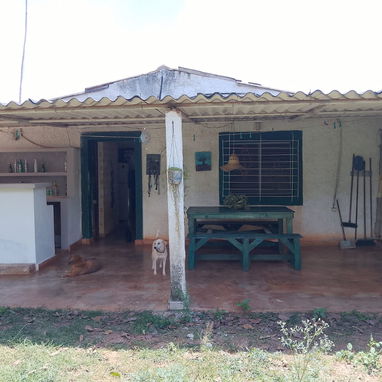 Casa a 5km San José. Bloque y fibrocen, patio con 100 matas café, 30 platanos burro y fruta, aguacate, mango, ciruelas - Img 123077697