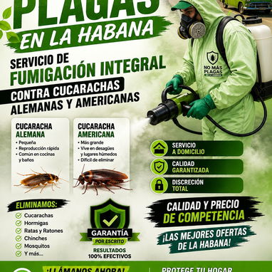 Cucarachas Americanas y Alemanas? Las Eliminamos - 2/2