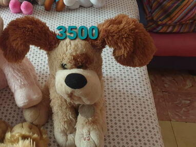Peluches entre 500 y 5000 CUP - Img 64098125