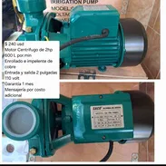 Motor centrifugo d 2 hp - Img 55272715