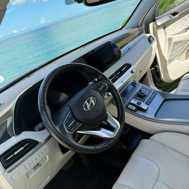Hyundai palisade 2020 limited en venta - 9/10