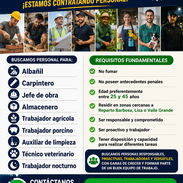 Oportunidad laboral - Img 56956491