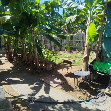 Casita de madera - 5/10