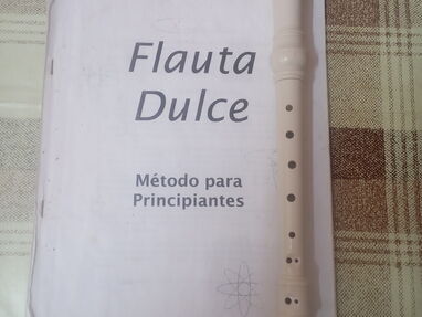 Flauta dulce con Manual para principiantes - Img main-image