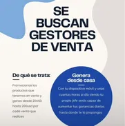 Gestor de ventas online - Img 50109238