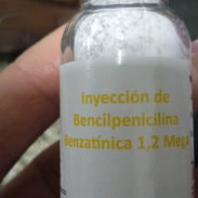 Bencilpenicilina benzatínica - Img 54156611