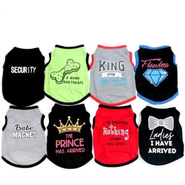 Venta de accesorios para mascotas - Img 124940066