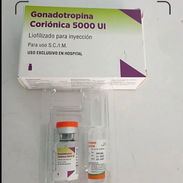 `GONADOTROPINA CORIONICA 5000 UI - Img 57620997
