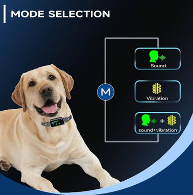 Collar antiladridos automático AI,Collar de ladridos para perros con comandos de voz grabables,Collar antiladridos para - Img 87835380