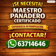 SE BUSCA MAESTRO PANADERO CERTIFICADO - Img 56994344