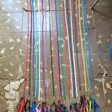 Correas para tus mascotas diferentes tallas y tipos - Img 125190376
