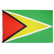Guyana fly - Img 57535385