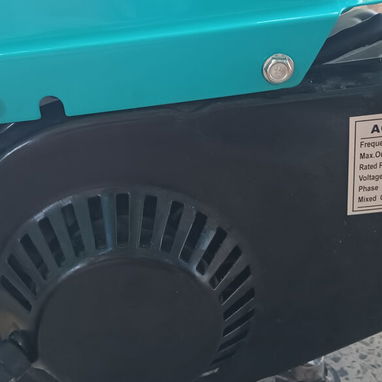 Planta 2 tiempo 950 watts - 2/2