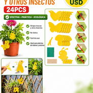 Trampas para moscas🪰🪰 - Img 48924924