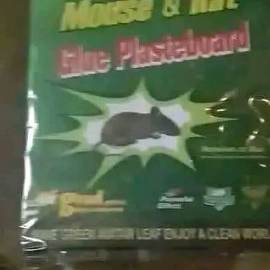 Pegatinas para ratones - Img 122688332