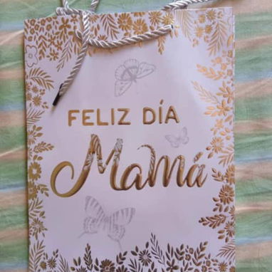 Bolsas de regalo, especiales para regalar a tu persona favorita - Img 118553546