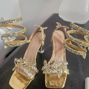 Gangazoo zapatos de mujer , ven a buscarlo - Img 55182234