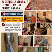 **Permuto departamento en Santo Suárez** - Img 57217339