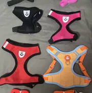 Correas para mascotas - Img 46994263
