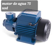 Motor de Agua y presurizador - Img 45319143