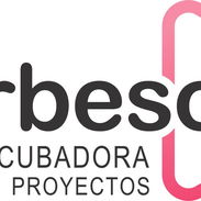 Se busca carpintero - Img 57797319