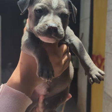 Si buscas calidad y compañía no dudes en llamar al 53818081 - Img 122615071