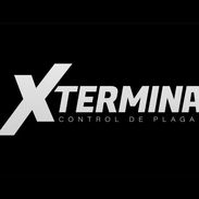 Xtermina – Control Integral de Plagas.  Somos una empresa especializada en la prevención, control y eliminación de plaga - Img 57804705