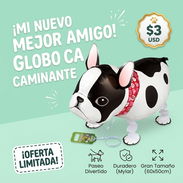 Globo de Perrito - Img 58165146